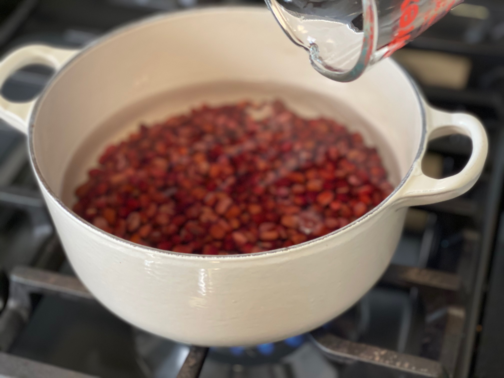 How to Make Tsubu An (つぶあん) / Chunky Red Bean Paste - Kitsune